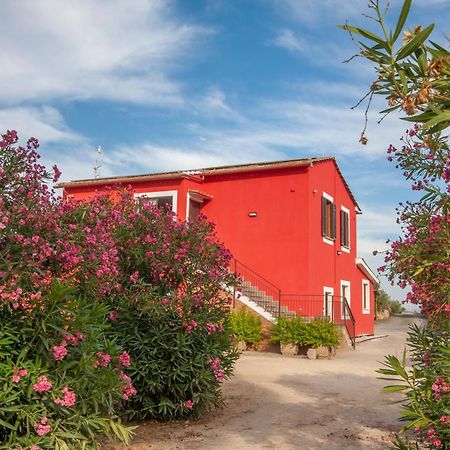 Agriturismo L'Istrice Di Gio Montalto di Castro Eksteriør billede