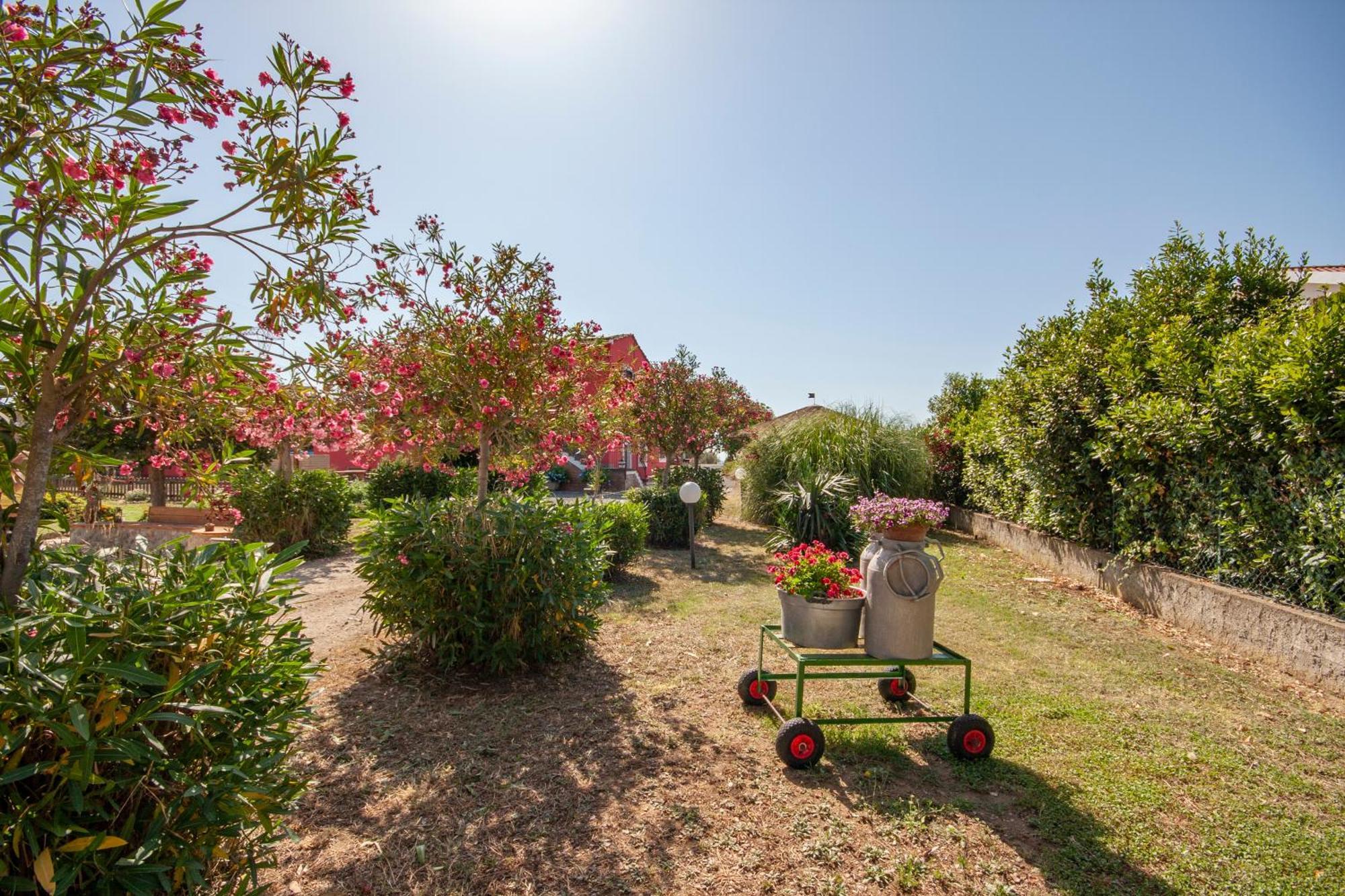 Agriturismo L'Istrice Di Gio Montalto di Castro Eksteriør billede